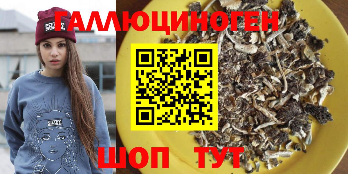 Псилоцибиновые грибы Psilocybine cubensis Ухта